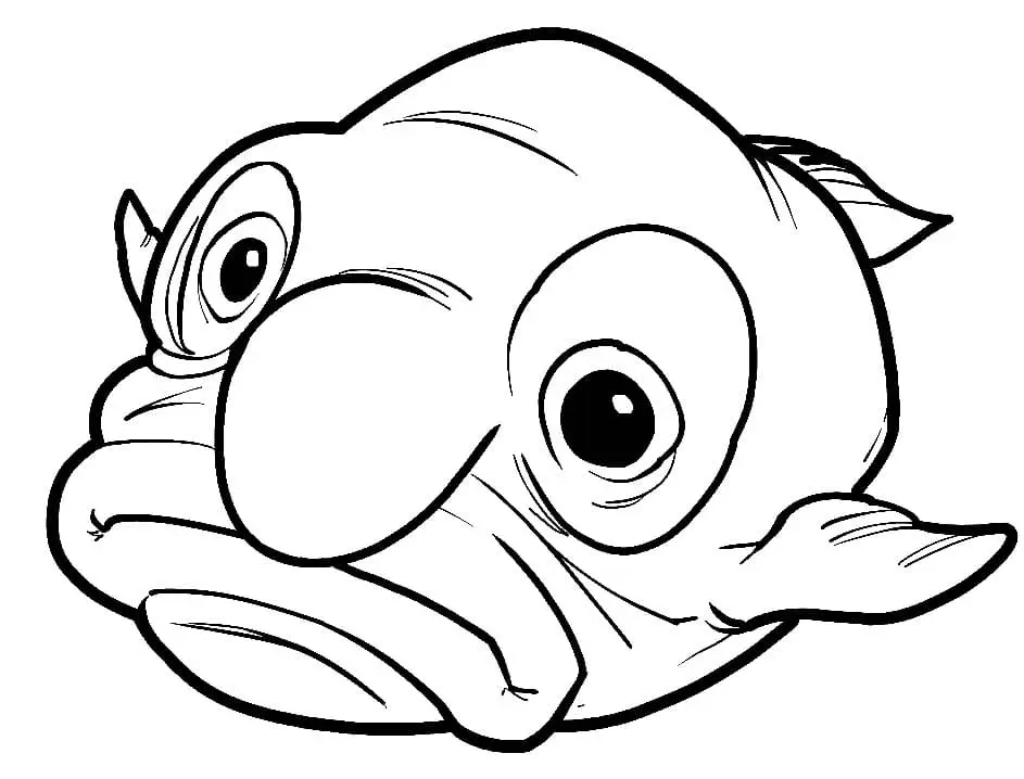 Blobfish Para Colorear 21