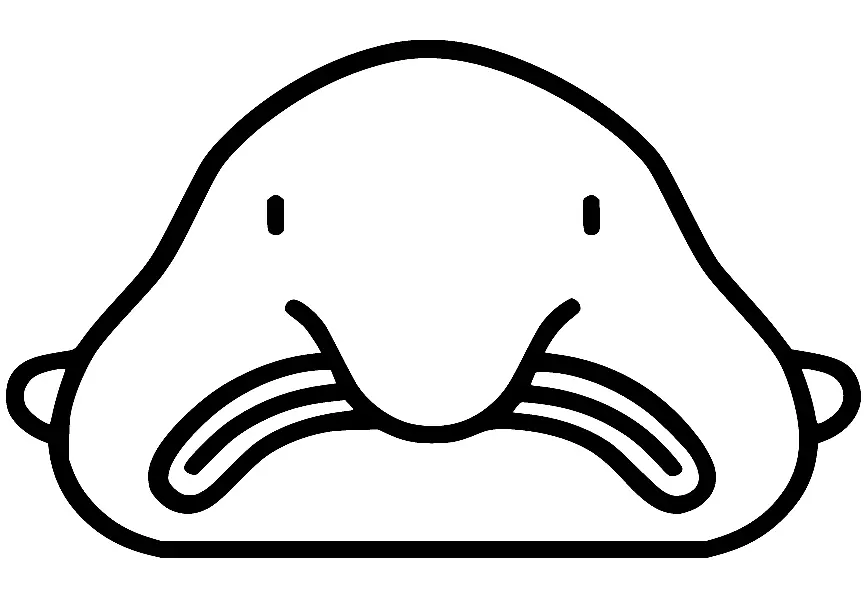 Blobfish Para Colorear 22