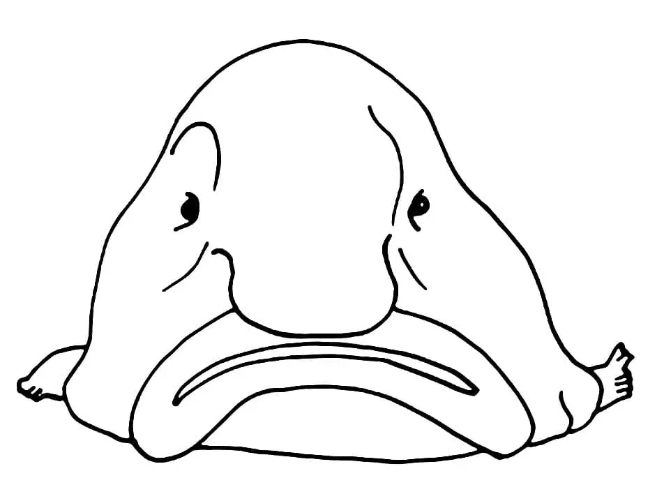 Blobfish Para Colorear 3