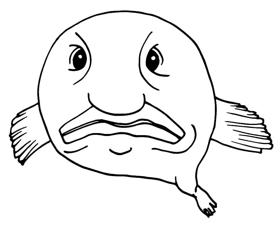 Blobfish Para Colorear 6
