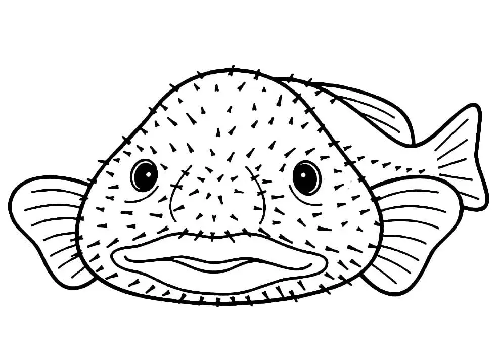 Blobfish Para Colorear 7