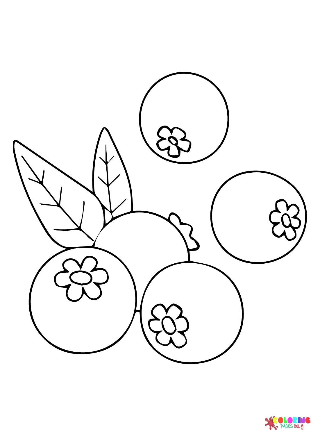 Desenhos de Blueberry Para Colorir 11