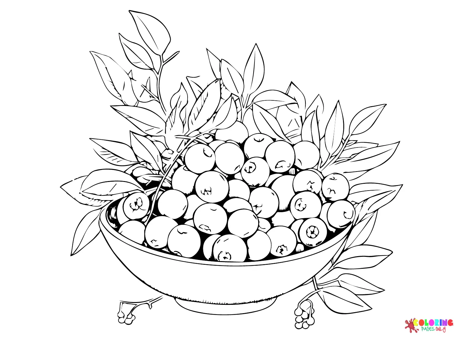Desenhos de Blueberry Para Colorir 9