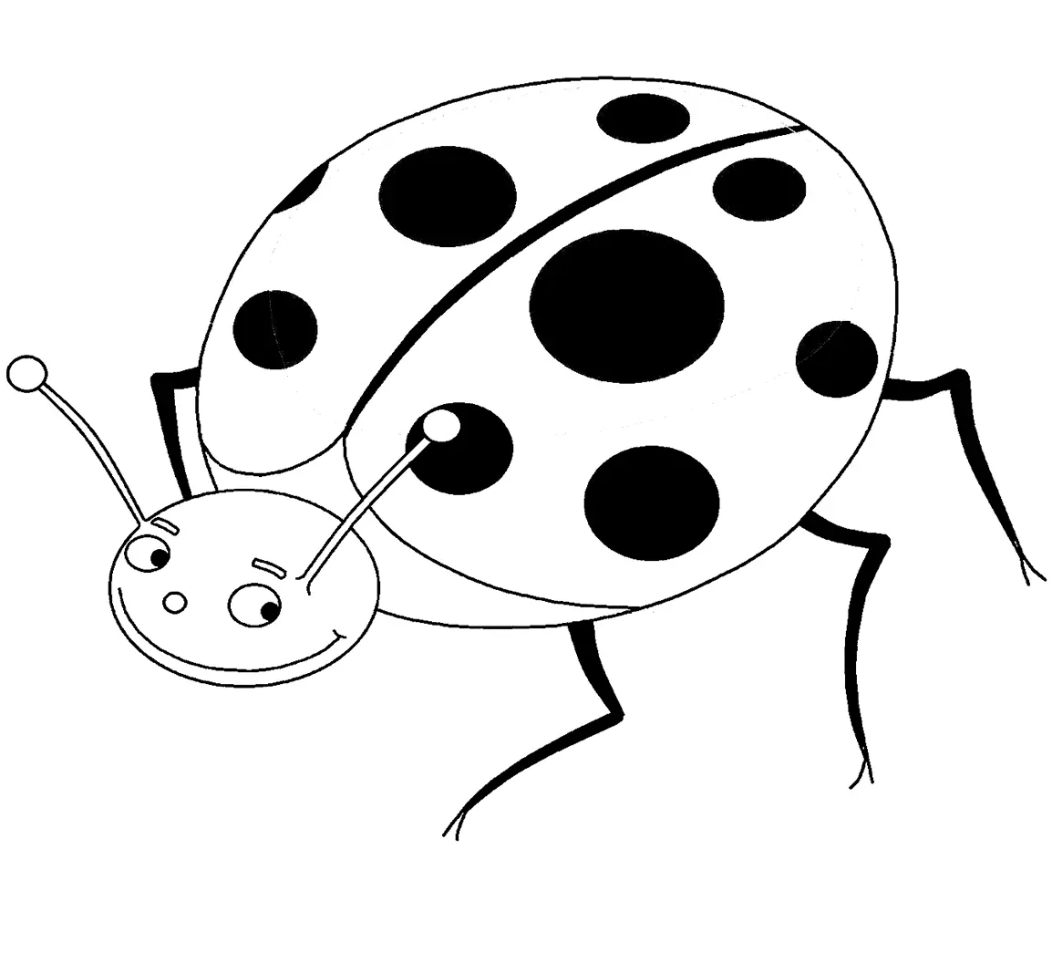 Desenhos de Insetos Para Colorir 14
