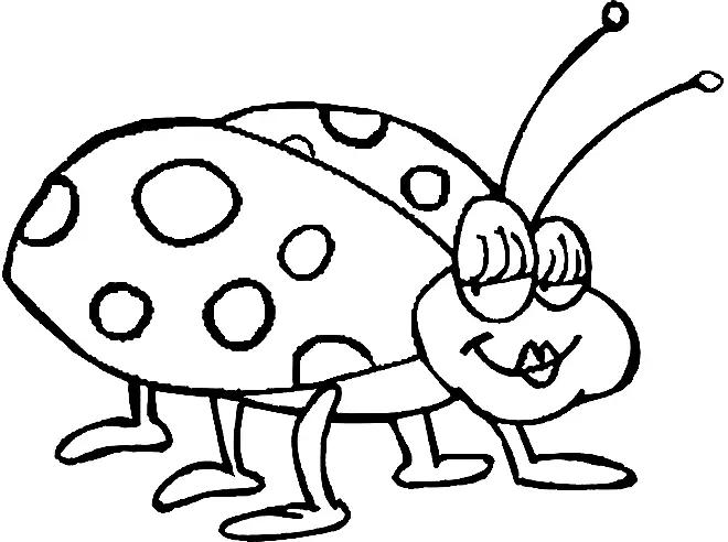 Desenhos de Insetos Para Colorir 24