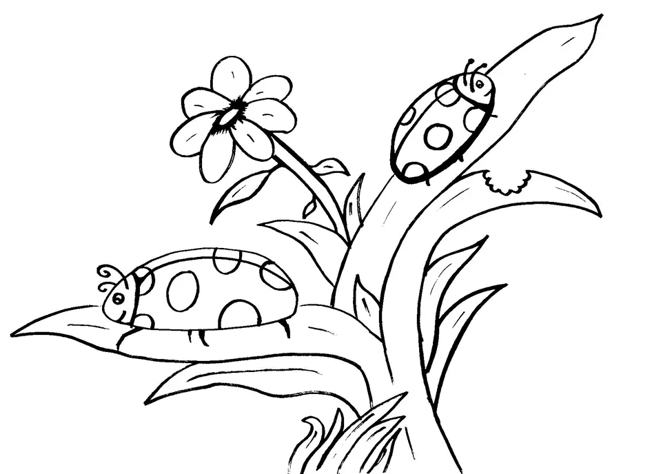 Desenhos de Insetos Para Colorir 7