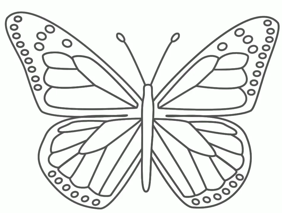 Schmetterling Ausmalbilder 1