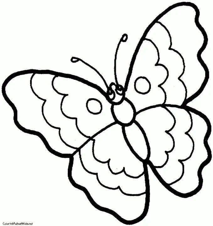 Schmetterling Ausmalbilder 3