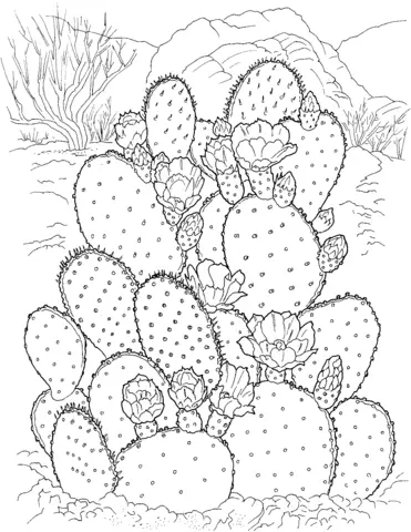 Cactus Para Colorear 11