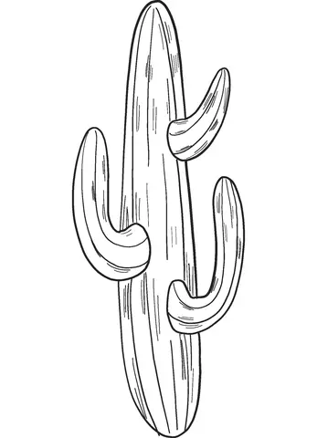 Cactus Para Colorear 46