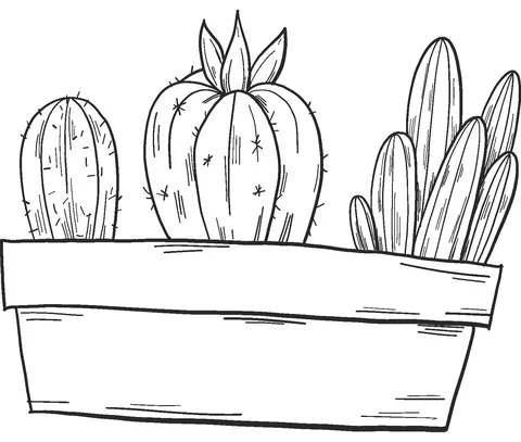 Cactus Para Colorear 9