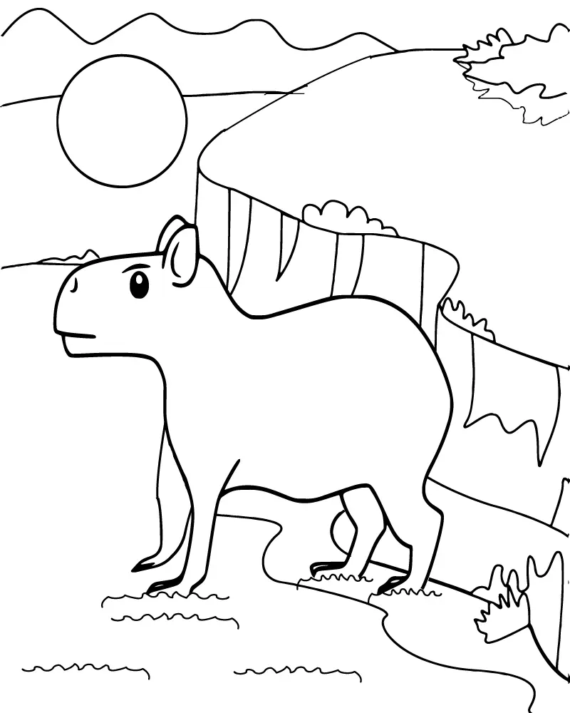 Capybara Coloring Pages 7