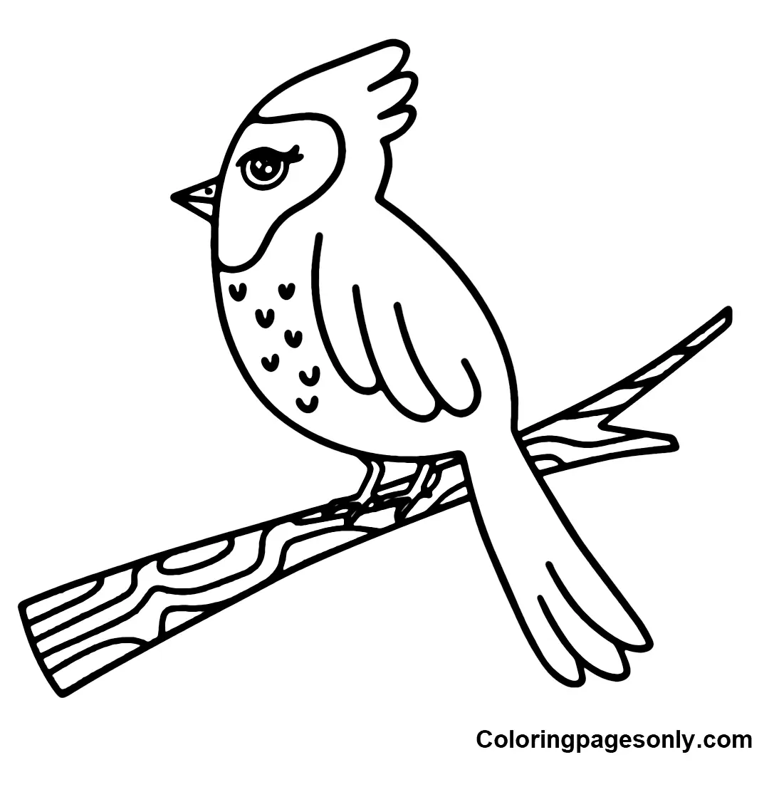 Desenhos de Cardeal Para Colorir 20