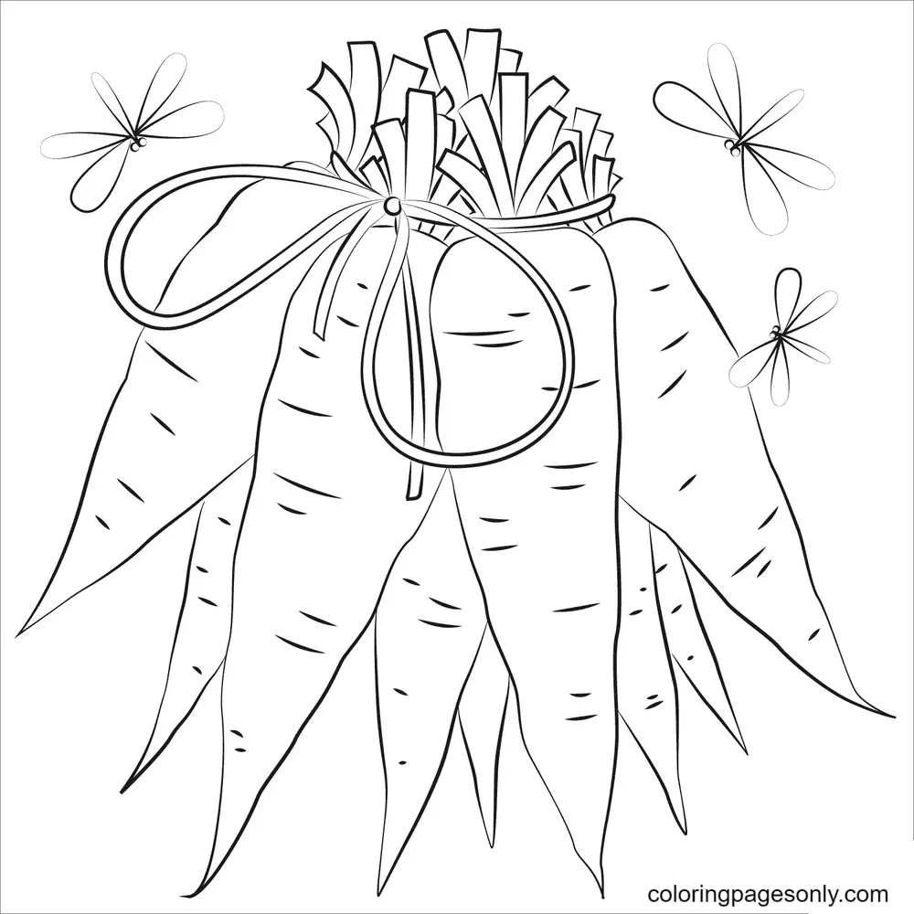 Zanahorias Para Colorear 31