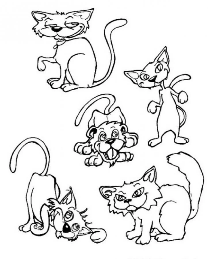 Gatos Para Colorear 122