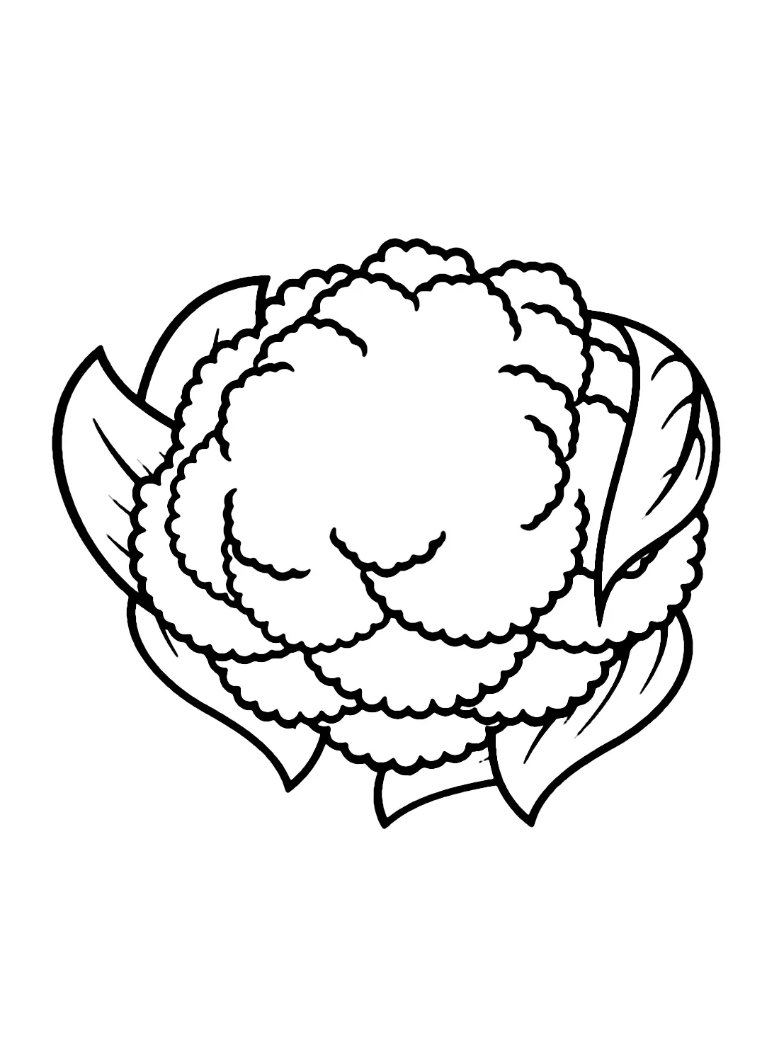 Blumenkohl Ausmalbilder 11