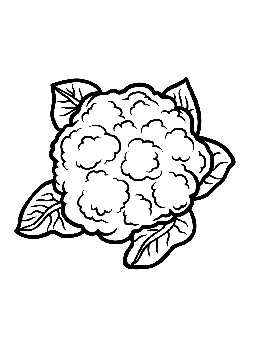 Blumenkohl Ausmalbilder 14