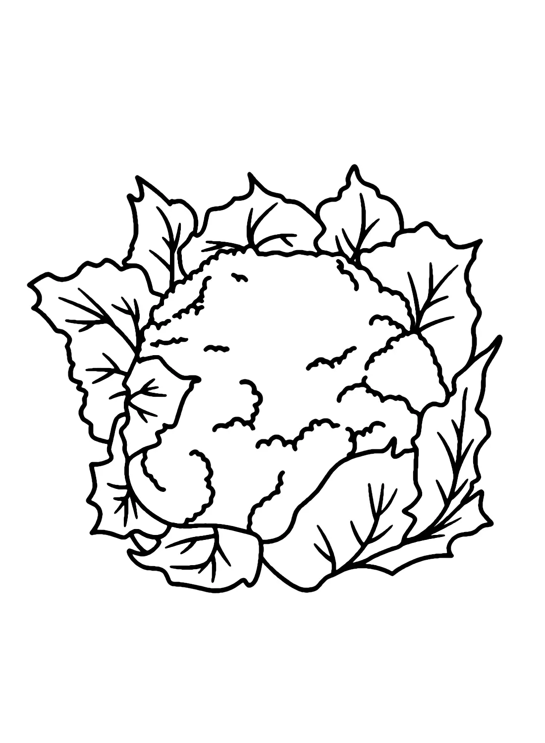 Blumenkohl Ausmalbilder 19