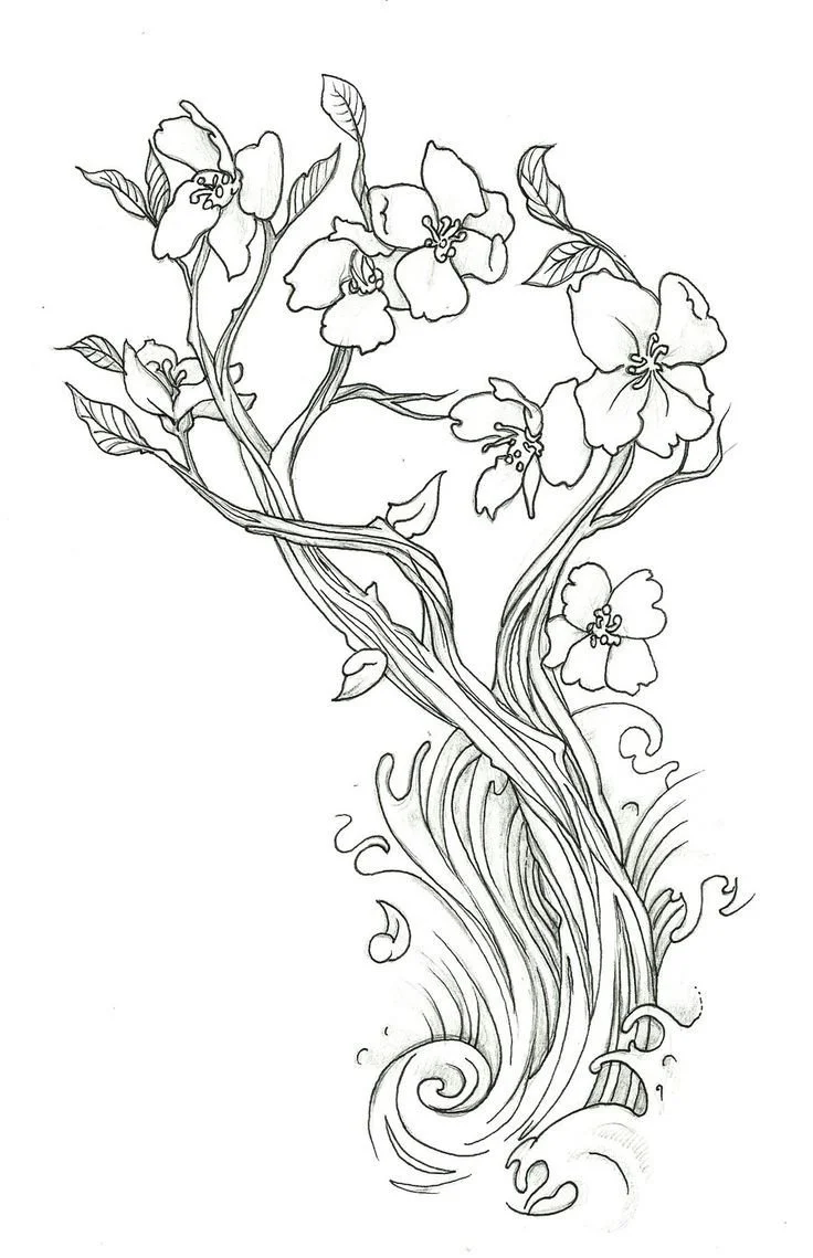 Desenhos de Flor de Cerejeira Para Colorir