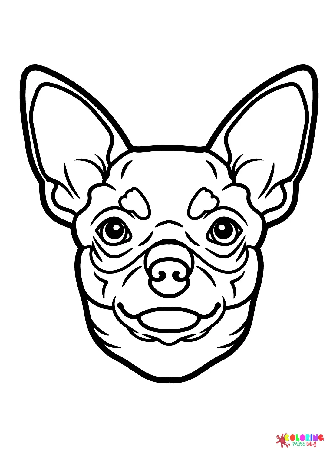 Desenhos de Chihuahua Para Colorir 13