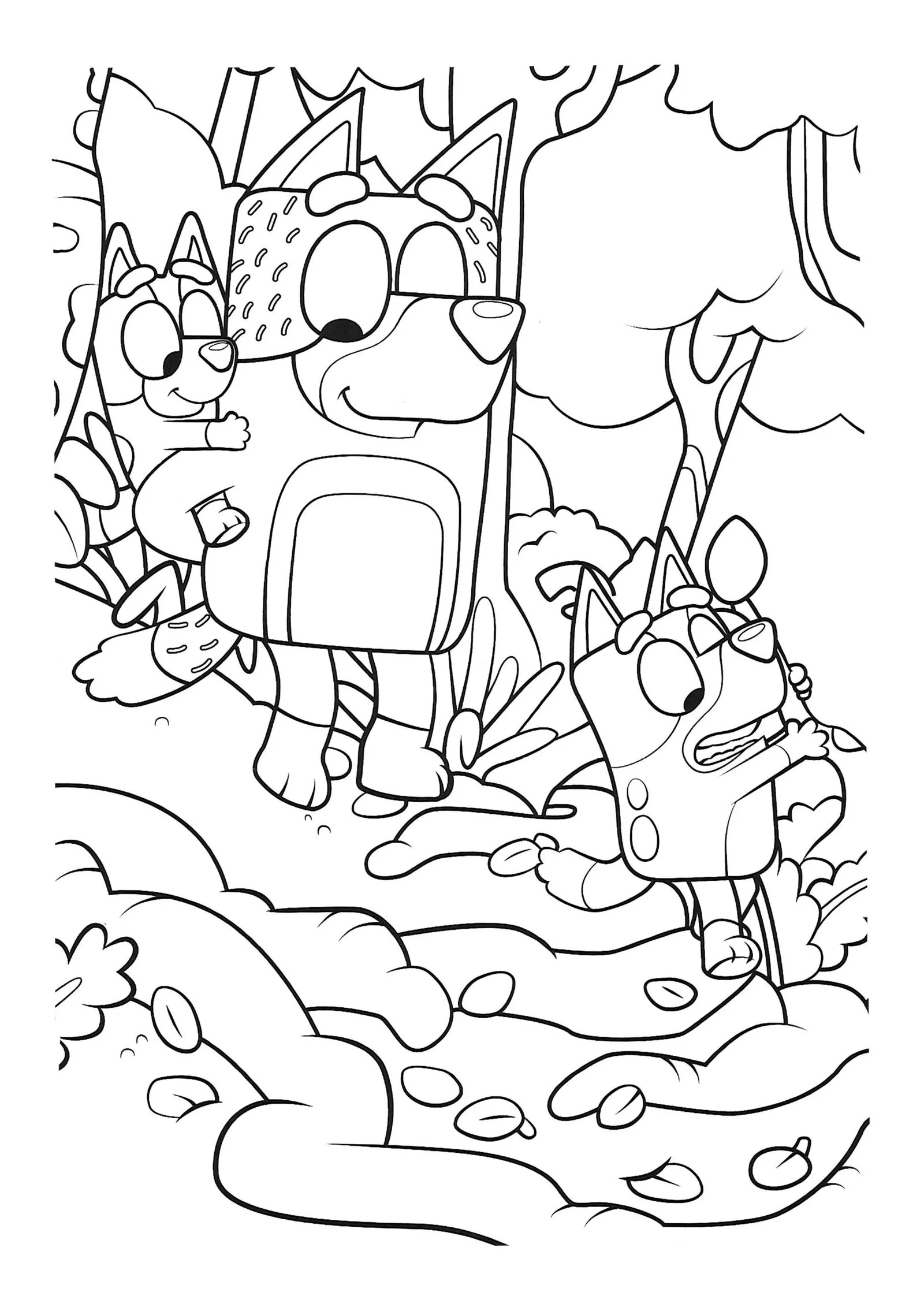 Chilli Heeler Coloring Pages 12