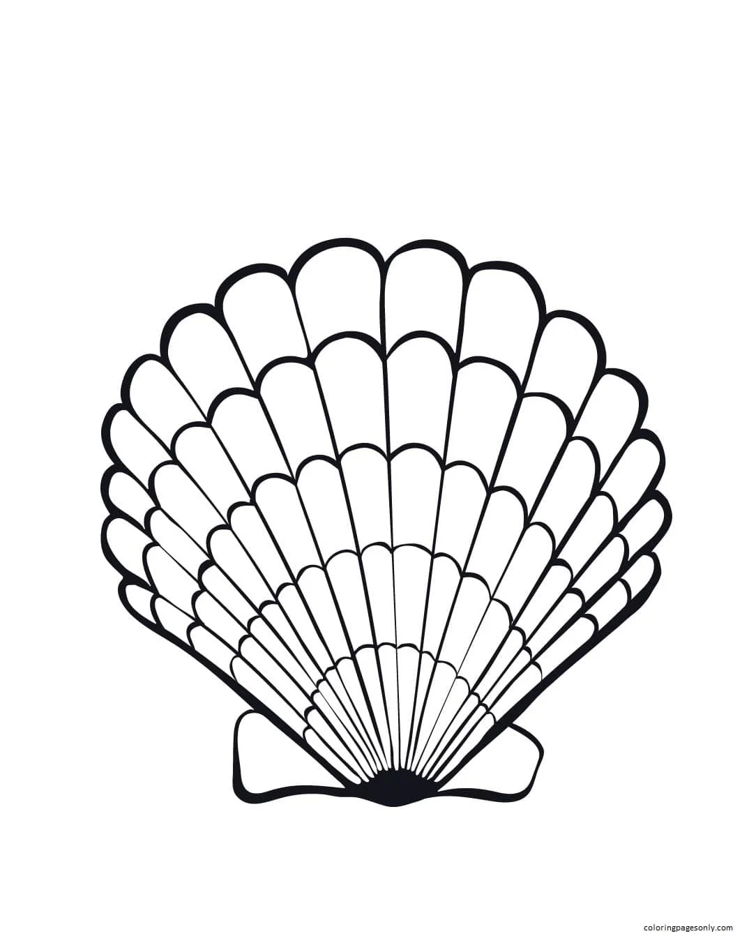 Desenhos de Moluscos Para Colorir 12