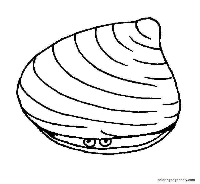 Desenhos de Moluscos Para Colorir 13