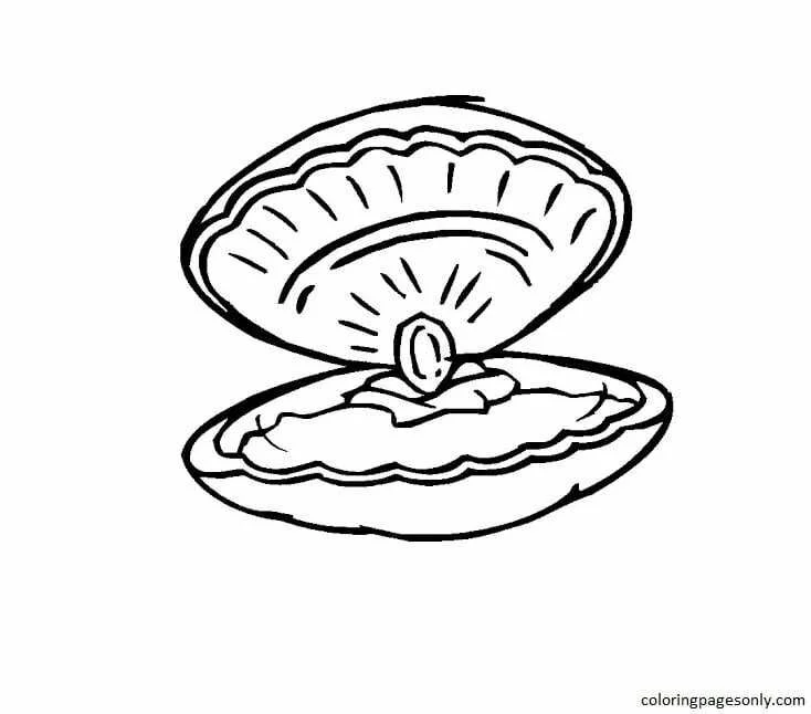Almejas Para Colorear 17