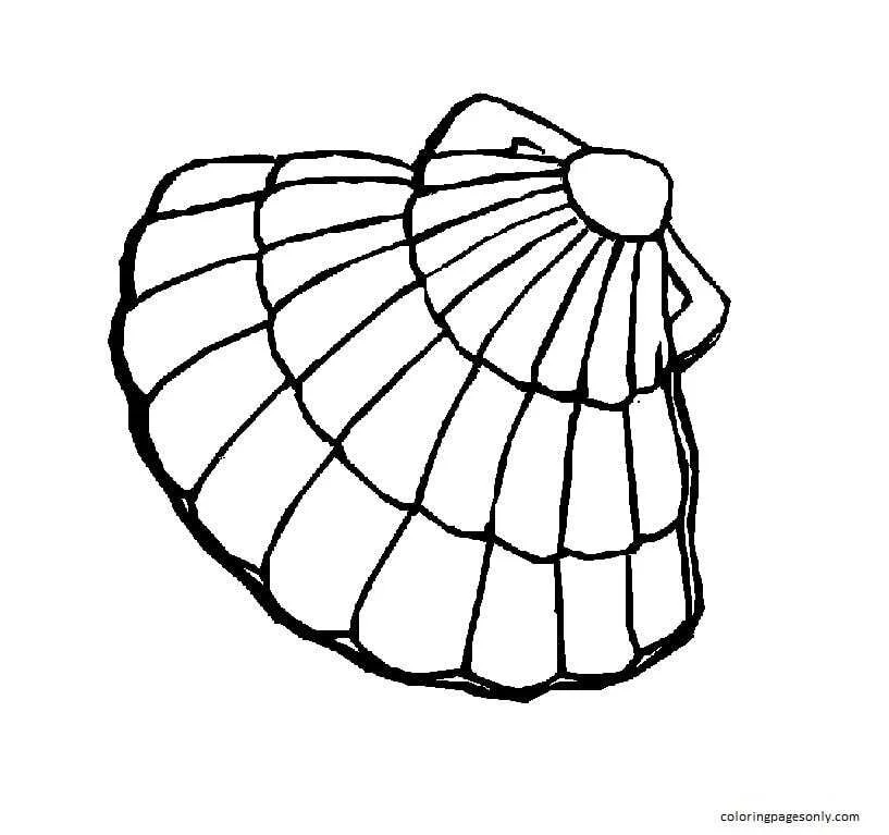 Almejas Para Colorear 20