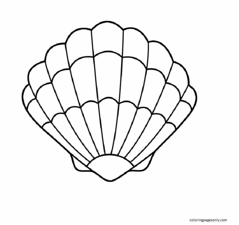 Almejas Para Colorear 6