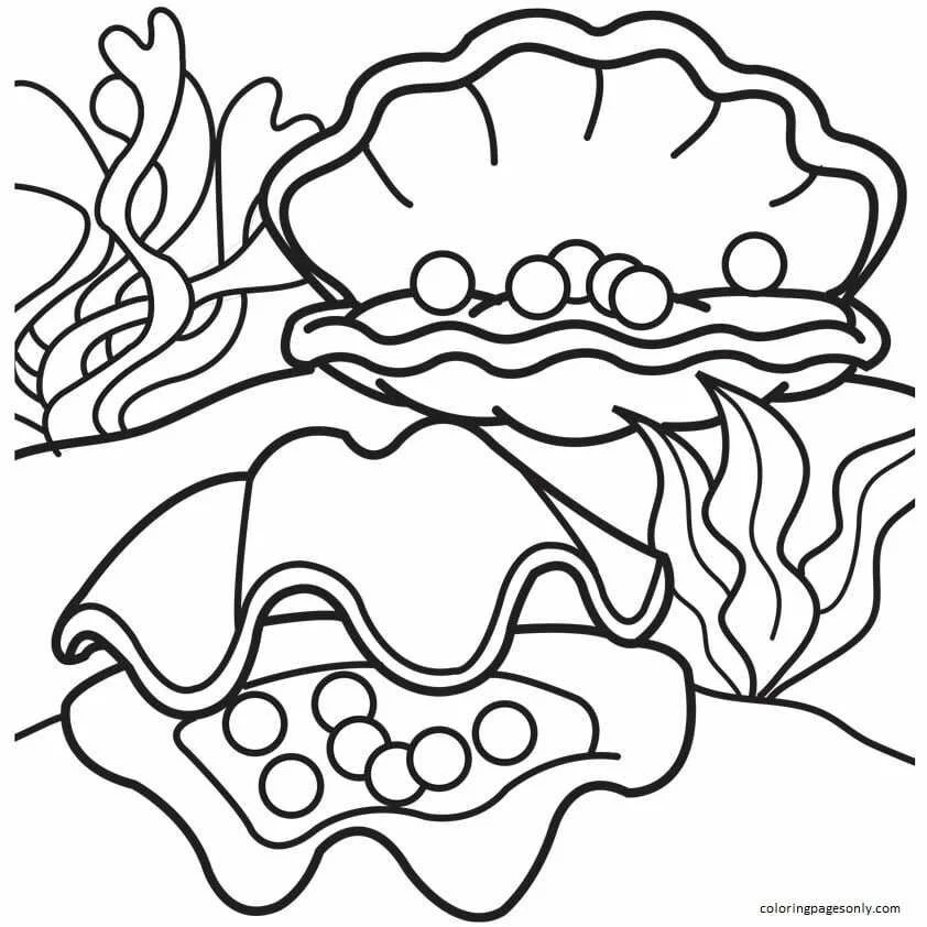 Almejas Para Colorear 8