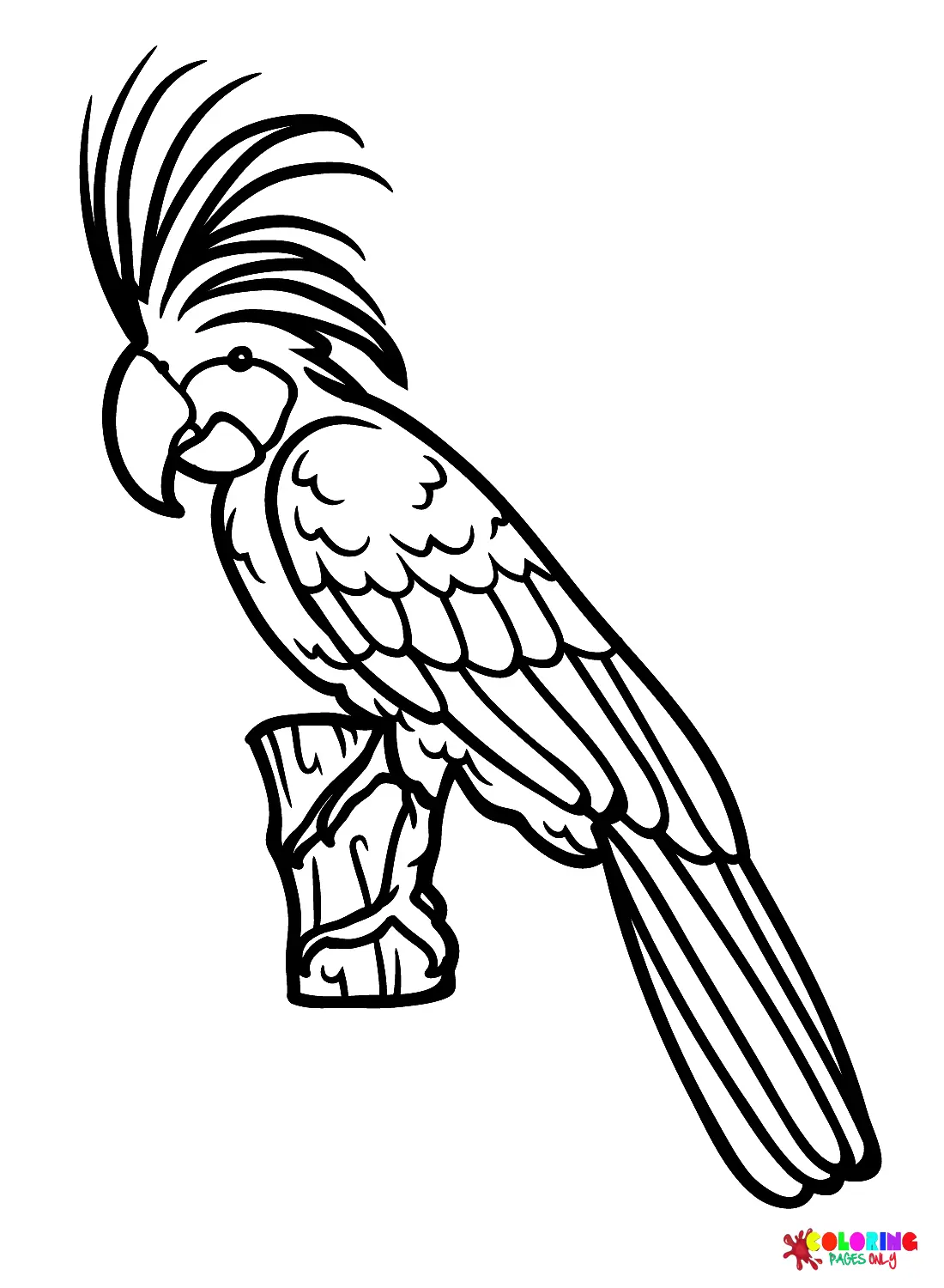 Cockatoo Coloring Pages