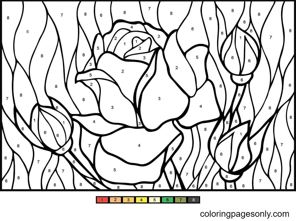 Colorear Por Numero Paginas Para Colorear 60