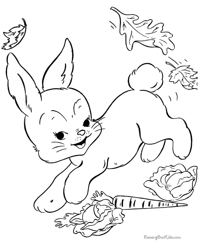 Computadora Para Colorear 22