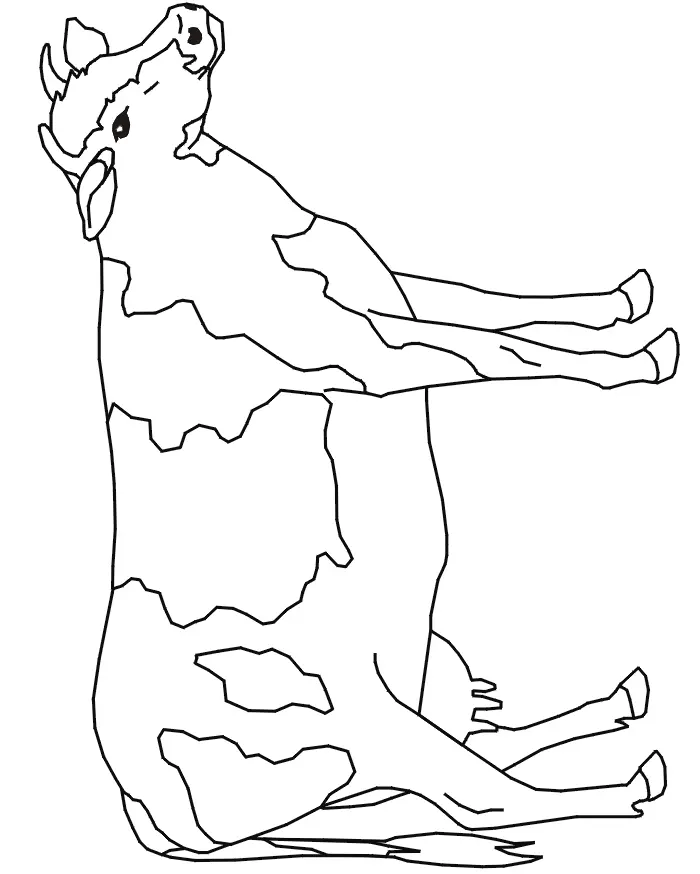 Kühe Ausmalbilder 13