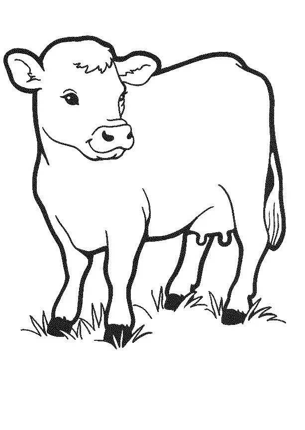 Kühe Ausmalbilder 39