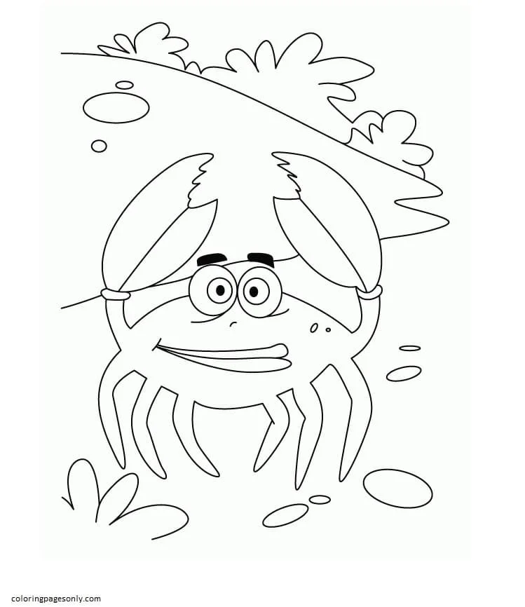 Cangrejos Para Colorear 50