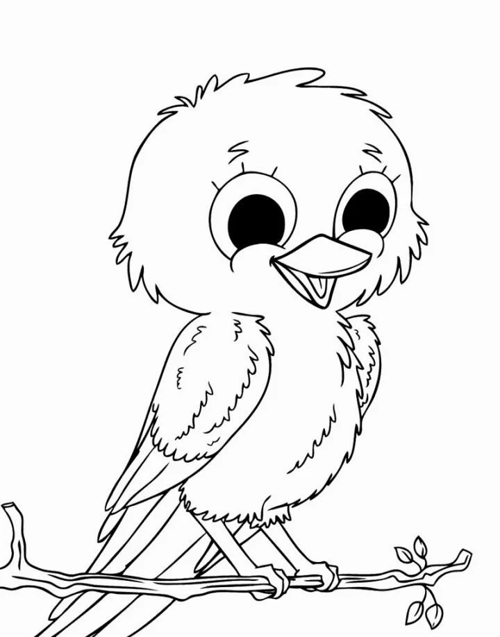 Cute Bird Coloring Pages 16