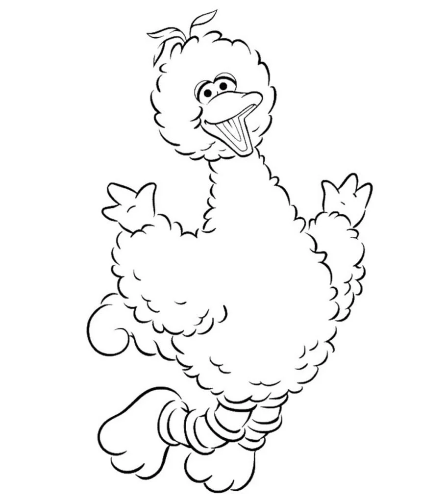 Cute Bird Coloring Pages 18
