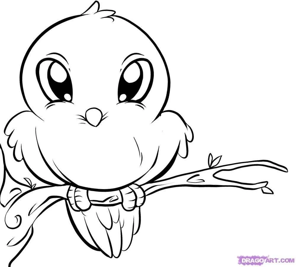 Cute Bird Coloring Pages 2
