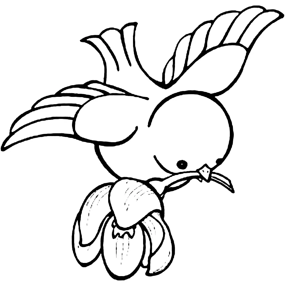 Cute Bird Coloring Pages 21