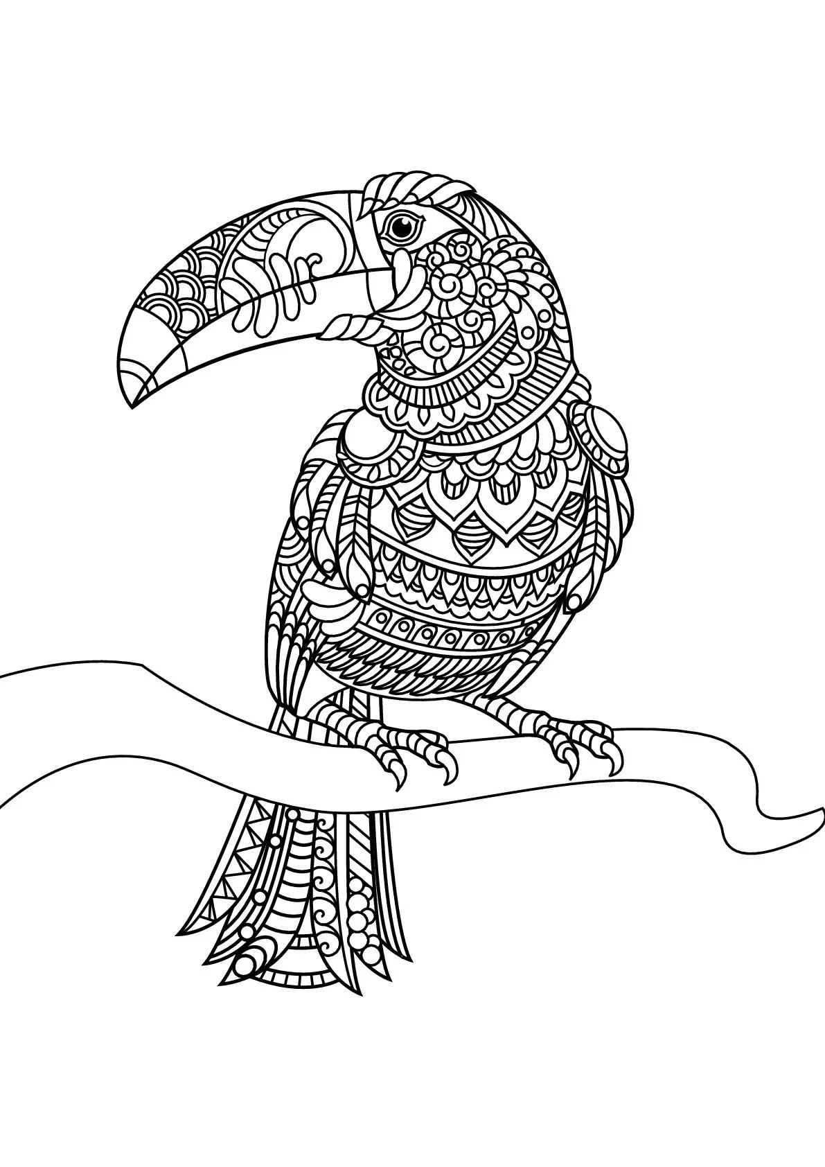 Cute Bird Coloring Pages 25