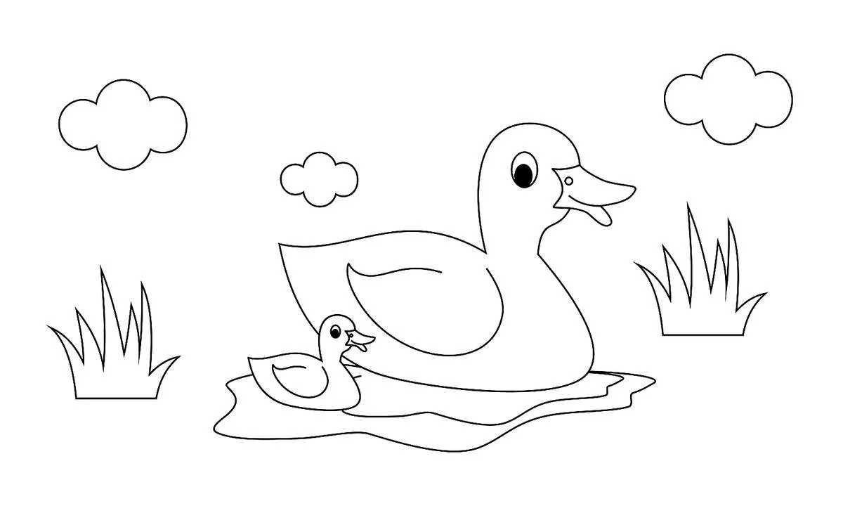 Cute Bird Coloring Pages 28