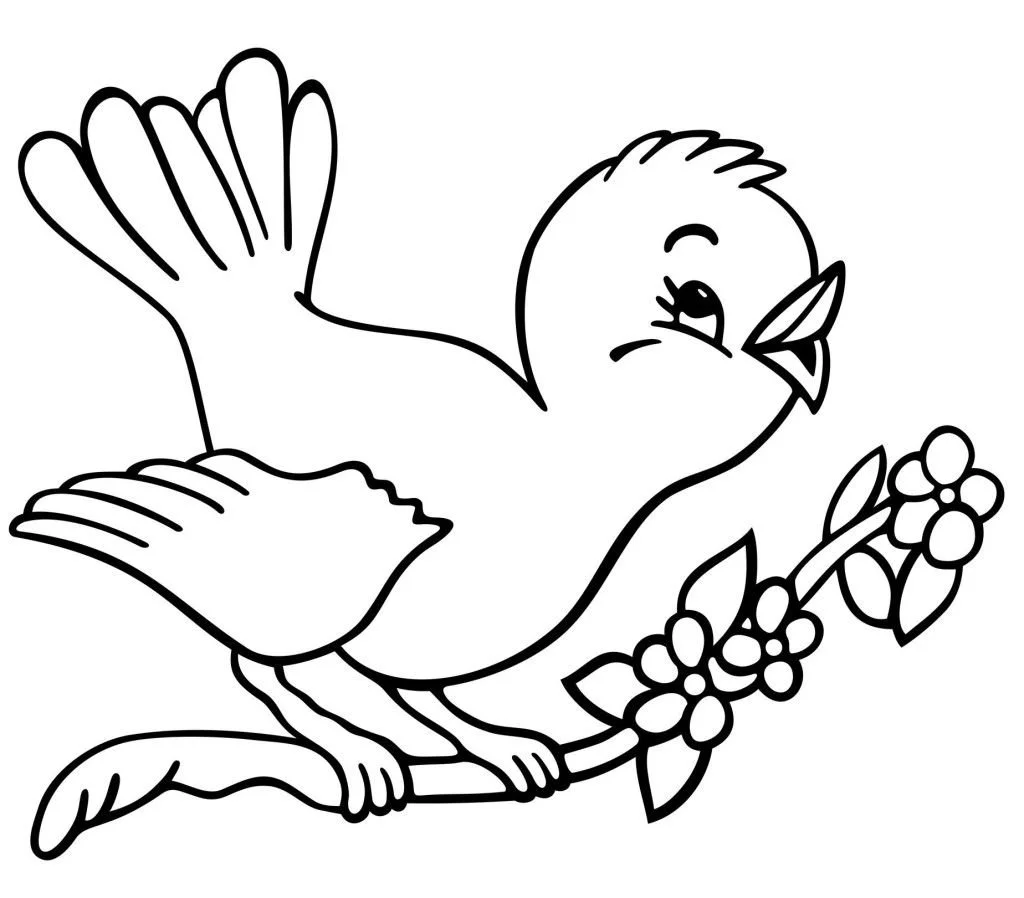 Cute Bird Coloring Pages 3