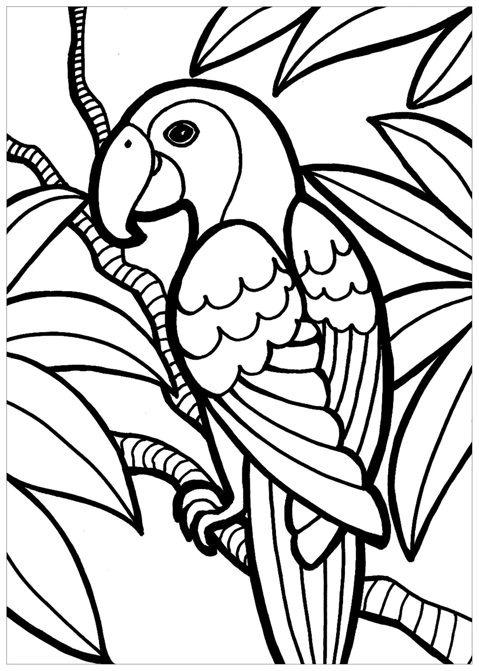 Cute Bird Coloring Pages 34