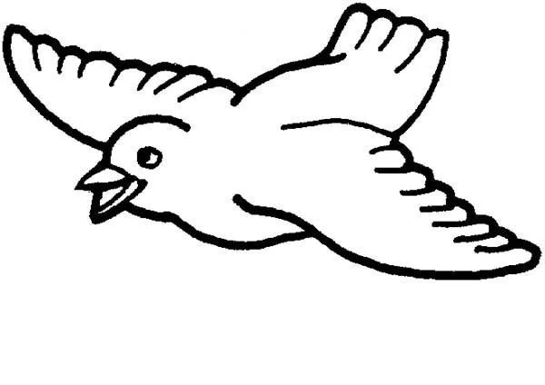 Cute Bird Coloring Pages 40