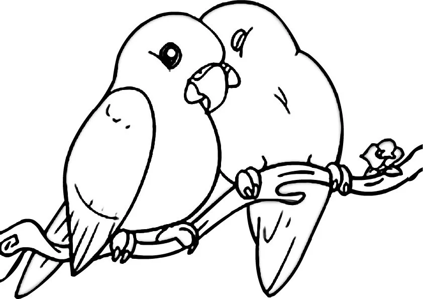 Cute Bird Coloring Pages 5