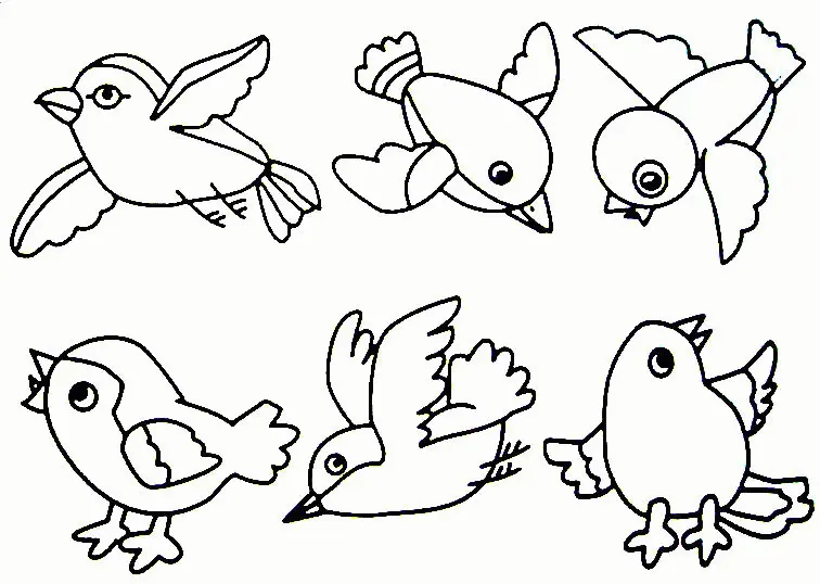 Cute Bird Coloring Pages 6