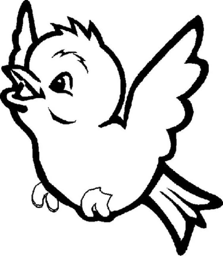 Cute Bird Coloring Pages 8