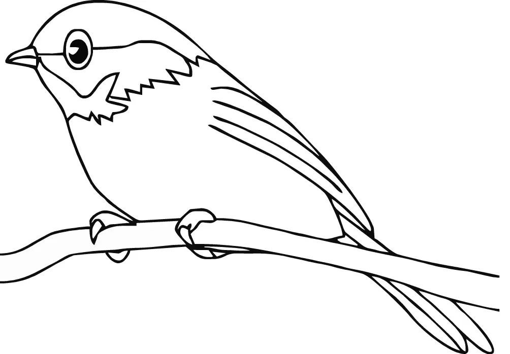 Cute Bird Coloring Pages 9